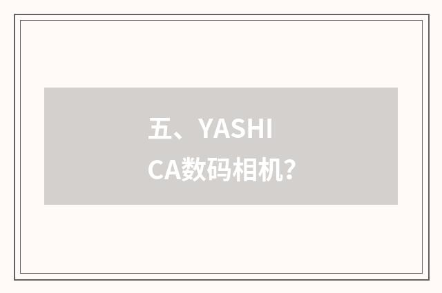五、YASHICA数码相机?