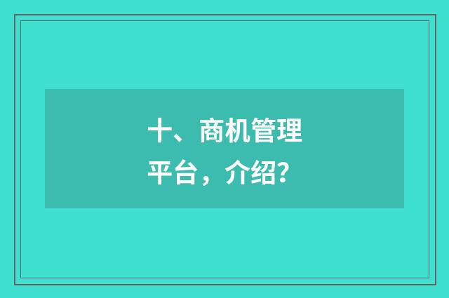 十、商机管理平台,介绍?