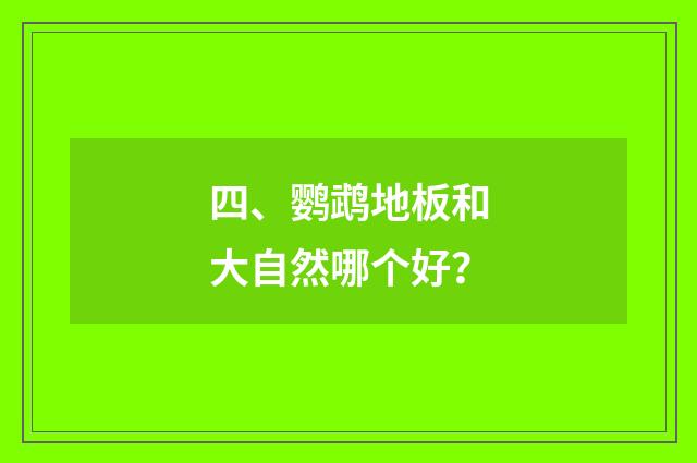 四、鹦鹉地板和大自然哪个好？