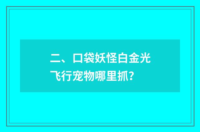 二、口袋妖怪白金光飞行宠物哪里抓？
