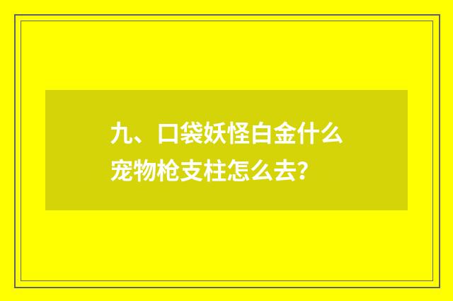 九、口袋妖怪白金什么宠物枪支柱怎么去？