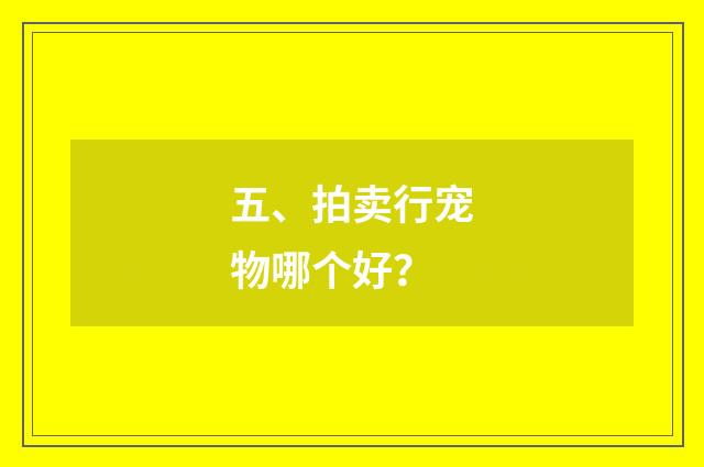 五、拍卖行宠物哪个好？