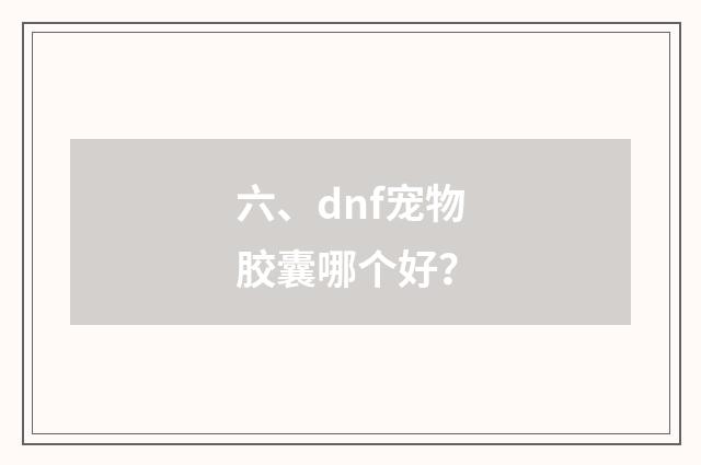 六、dnf宠物胶囊哪个好？