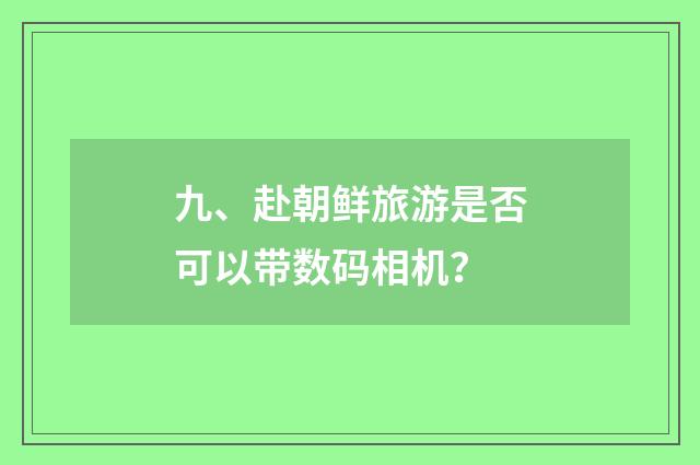 九、赴朝鲜旅游是否可以带数码相机?