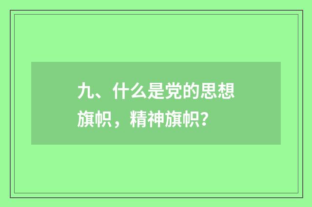 九、什么是党的思想旗帜，精神旗帜？