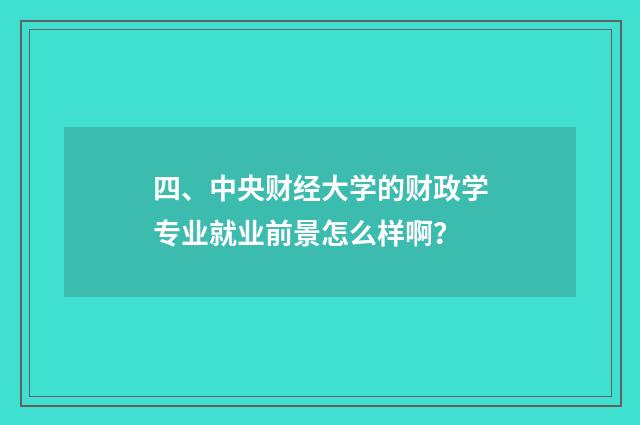 四、中央财经大学的财政学专业就业前景怎么样啊?