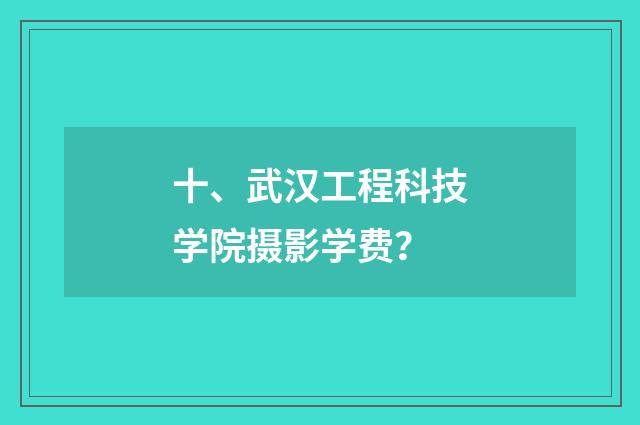 十、武汉工程科技学院摄影学费？