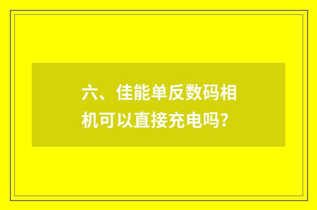 六、佳能单反数码相机可以直接充电吗？