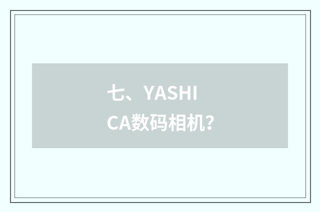 七、YASHICA数码相机？