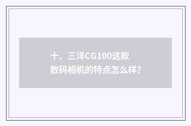 十、三洋CG100这款数码相机的特点怎么样？