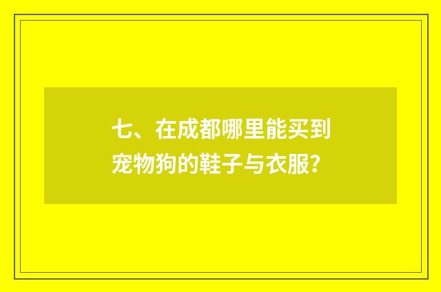 七、在成都哪里能买到宠物狗的鞋子与衣服？