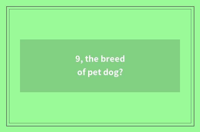 9, the breed of pet dog?