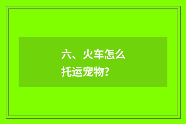 六、火车怎么托运宠物？