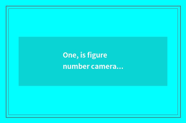 One, is figure number camera recommended?