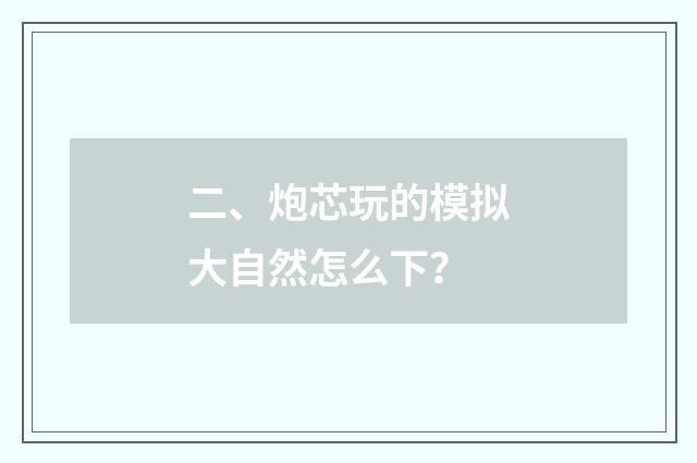 二、炮芯玩的模拟大自然怎么下？