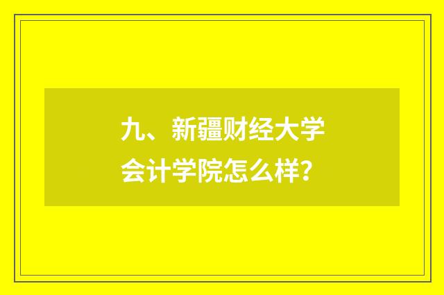 九、新疆财经大学会计学院怎么样？