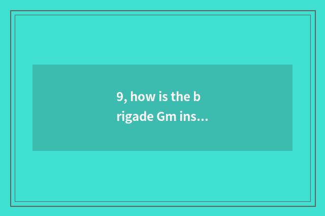 9, how is the brigade Gm instruction of pet elf world used?