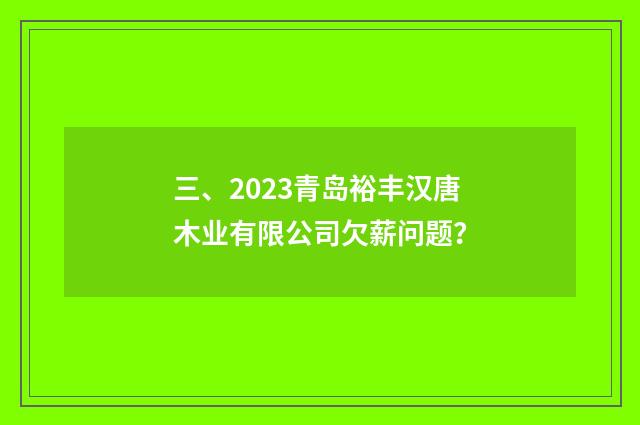三、2023青岛裕丰汉唐木业有限公司欠薪问题？