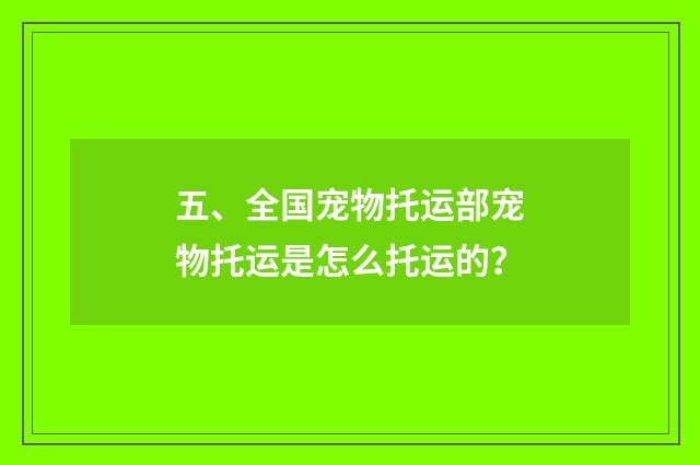 五、全国宠物托运部宠物托运是怎么托运的？