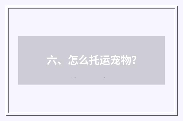 六、怎么托运宠物？