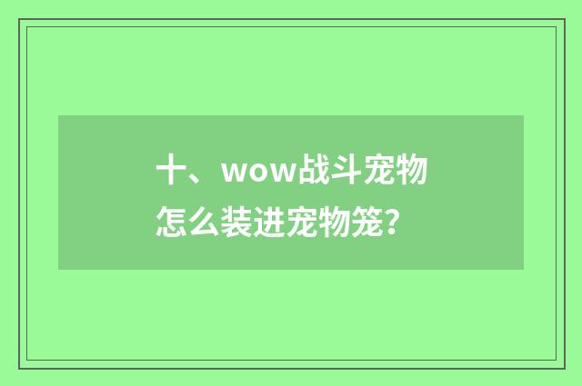 十、wow战斗宠物怎么装进宠物笼？