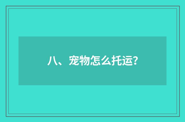 八、宠物怎么托运？