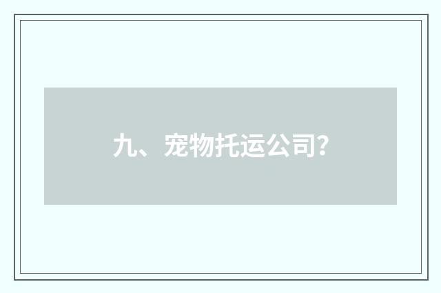 九、宠物托运公司？