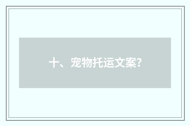 十、宠物托运文案？