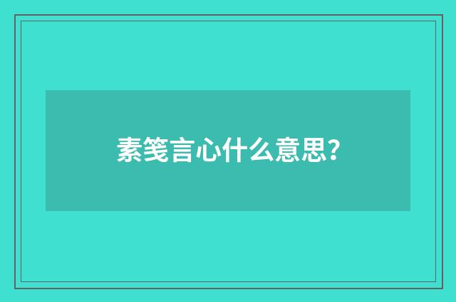 素笺言心什么意思？