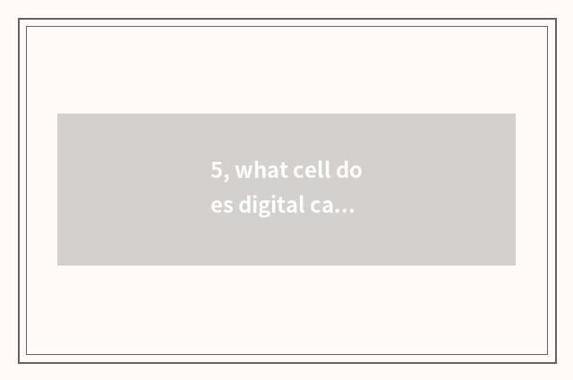 5, what cell does digital camera use best?