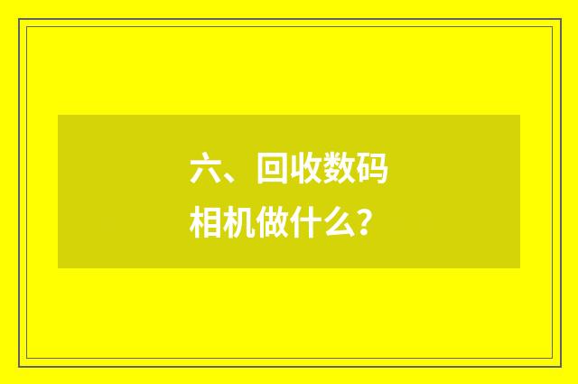 六、回收数码相机做什么?