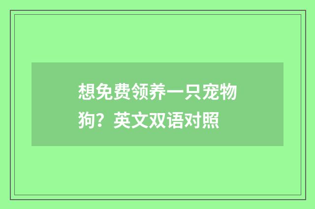 想免费领养一只宠物狗？英文双语对照