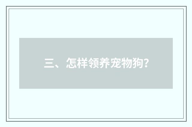三、怎样领养宠物狗？