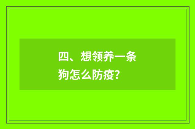 四、想领养一条狗怎么防疫？