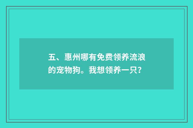五、惠州哪有免费领养流浪的宠物狗。我想领养一只？