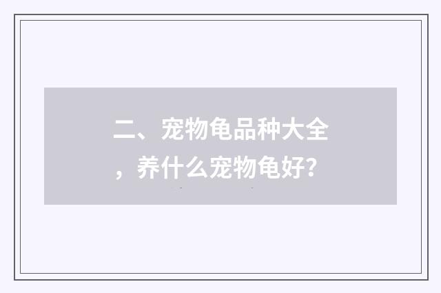 二、宠物龟品种大全，养什么宠物龟好？