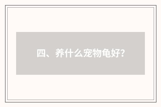 四、养什么宠物龟好？