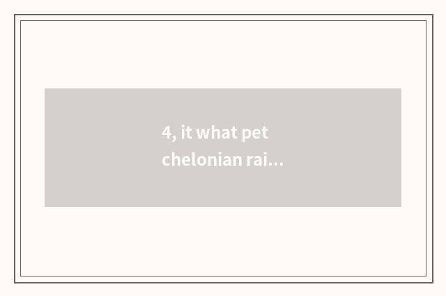 4, it what pet chelonian raise is good to what pet chelonian raise?