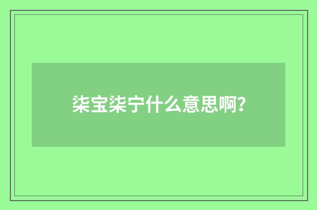 柒宝柒宁什么意思啊?
