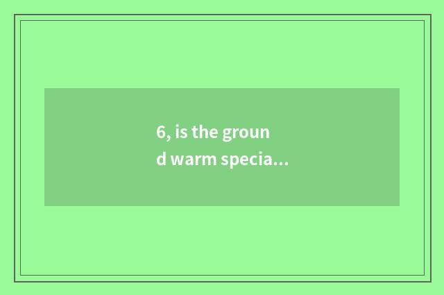 6, is the ground warm special wood floor?