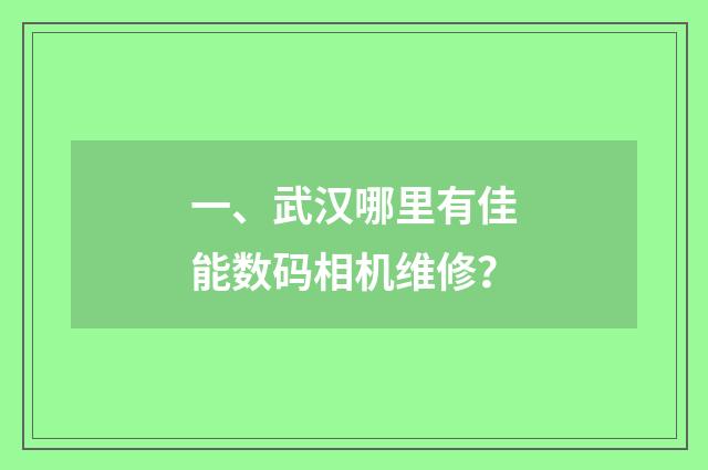 一、武汉哪里有佳能数码相机维修?