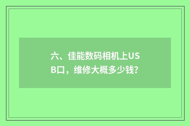 六、佳能数码相机上USB口，维修大概多少钱？