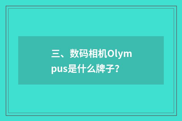 三、数码相机Olympus是什么牌子？