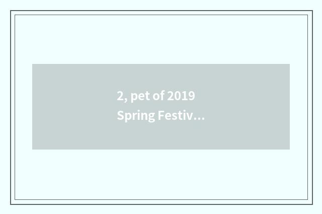 2, pet of 2019 Spring Festivals?