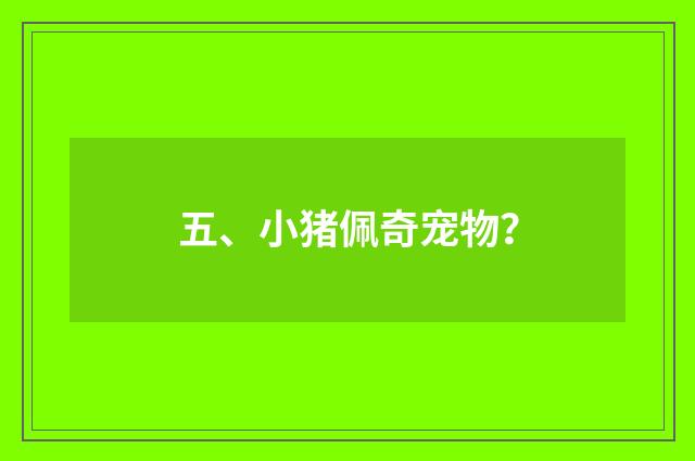 五、小猪佩奇宠物？