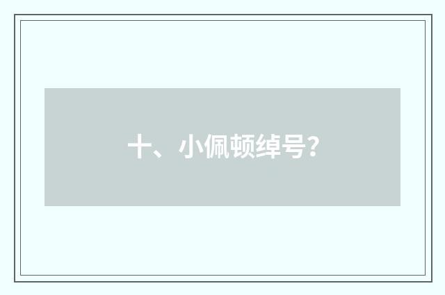 十、小佩顿绰号？