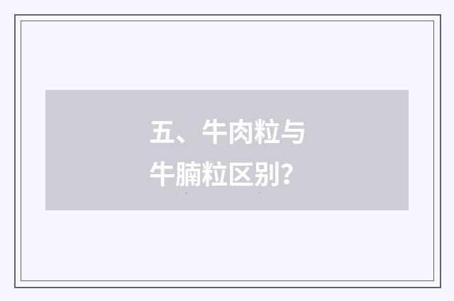 五、牛肉粒与牛腩粒区别？