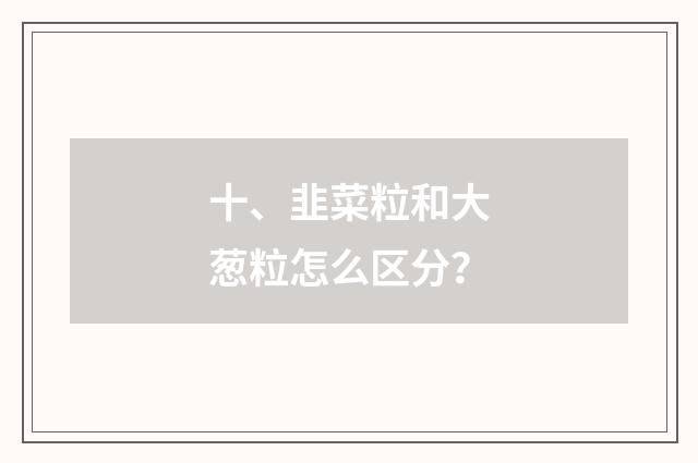 十、韭菜粒和大葱粒怎么区分？