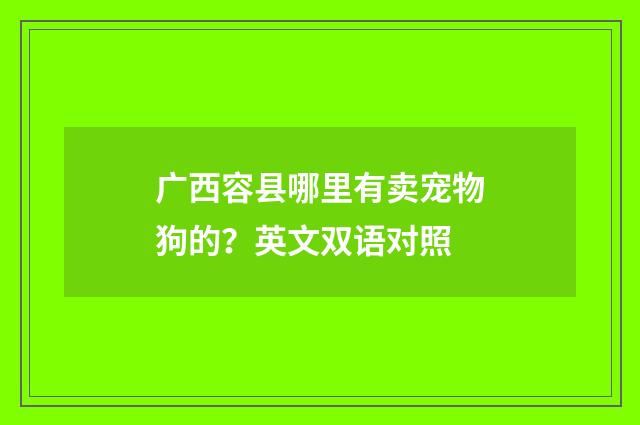 广西容县哪里有卖宠物狗的？英文双语对照