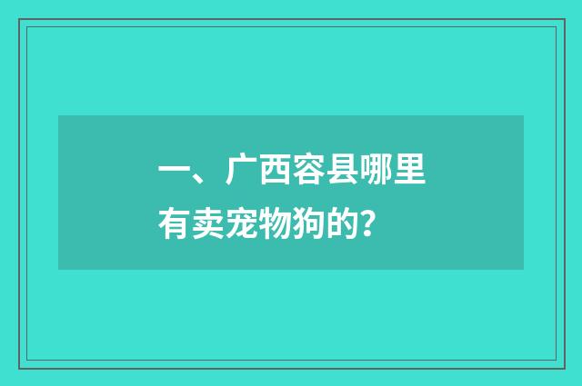 一、广西容县哪里有卖宠物狗的？